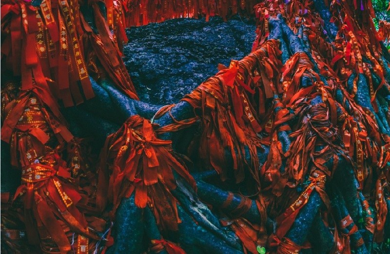 9-Roots-2.jpg